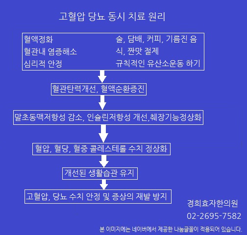 고혈압 당뇨 동시 치료 방법 원리